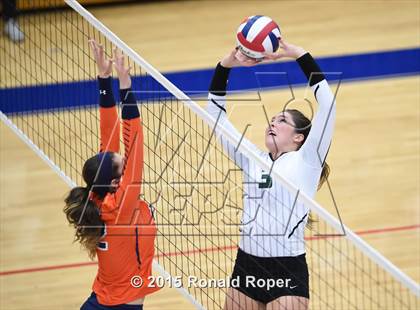 Thumbnail 1 in Wakeland vs. Prosper photogallery.