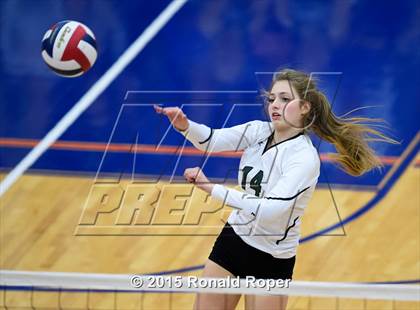 Thumbnail 1 in Wakeland vs. Prosper photogallery.