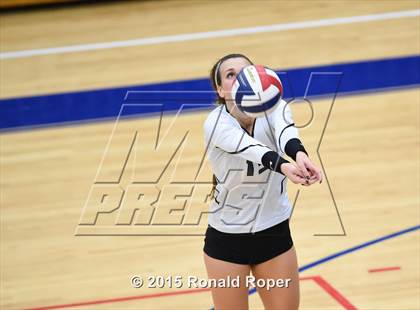 Thumbnail 3 in Wakeland vs. Prosper photogallery.