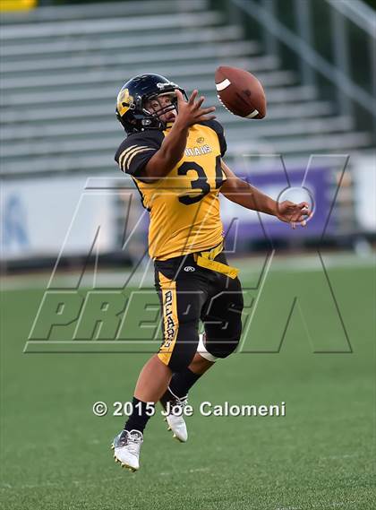 Thumbnail 3 in Judson @ Brennan photogallery.