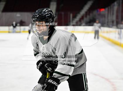 Thumbnail 1 in Avon vs. Strongsville photogallery.
