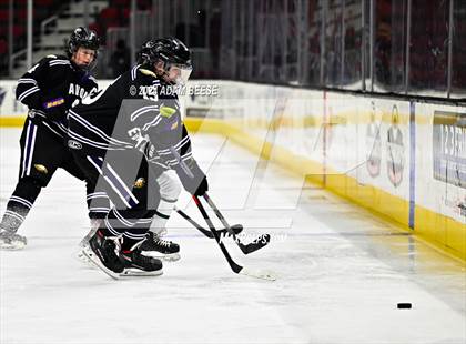 Thumbnail 3 in Avon vs. Strongsville photogallery.