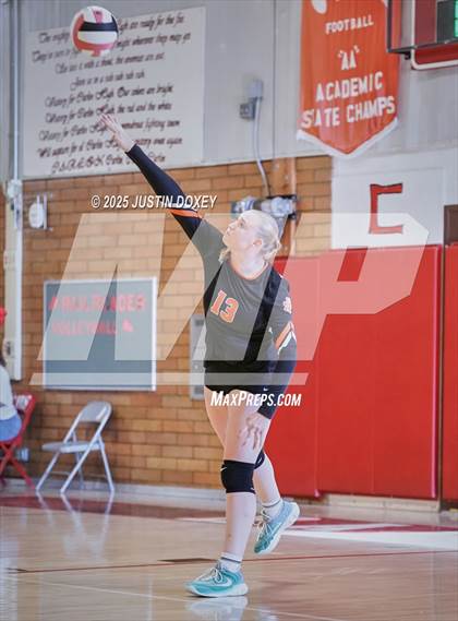 Thumbnail 3 in JV: Wells @ Carlin (Homecoming) photogallery.