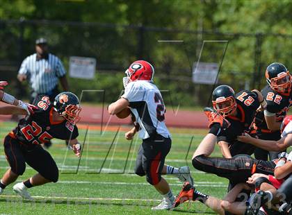 Thumbnail 1 in Cheshire @ Ridgefield photogallery.