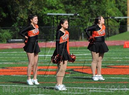Thumbnail 3 in Cheshire @ Ridgefield photogallery.