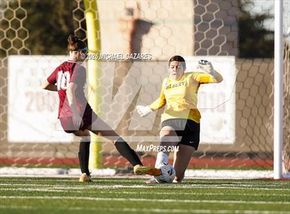 Thumbnail 1 in JV: Gilbert @ Hamilton photogallery.