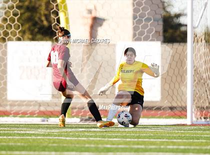 Thumbnail 2 in JV: Gilbert @ Hamilton photogallery.