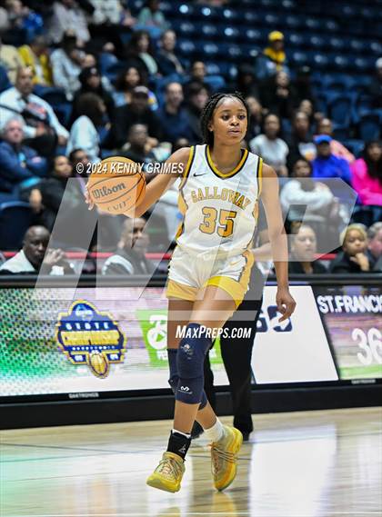 Thumbnail 1 in St. Francis vs. Galloway (GHSA A Division 1 Championship) photogallery.