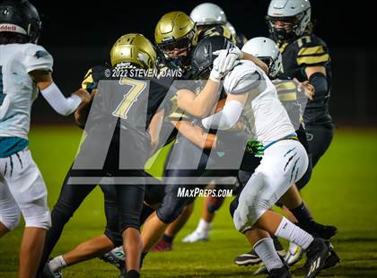 Thumbnail 2 in Highland @ Basha photogallery.