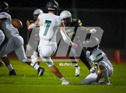 Thumbnail 2 in Highland @ Basha photogallery.
