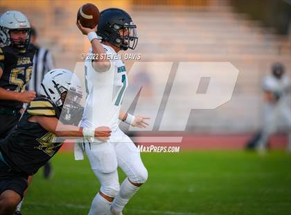 Thumbnail 1 in Highland @ Basha photogallery.