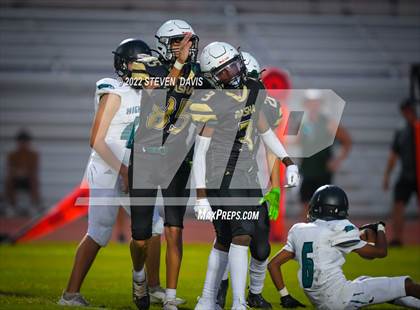 Thumbnail 3 in Highland @ Basha photogallery.