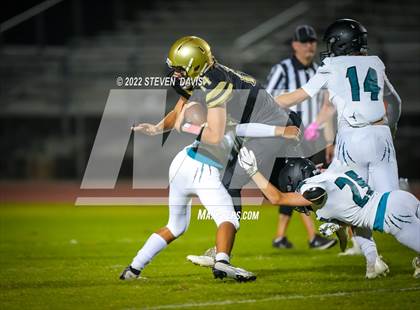 Thumbnail 2 in Highland @ Basha photogallery.