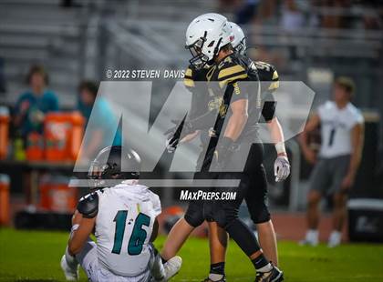 Thumbnail 2 in Highland @ Basha photogallery.