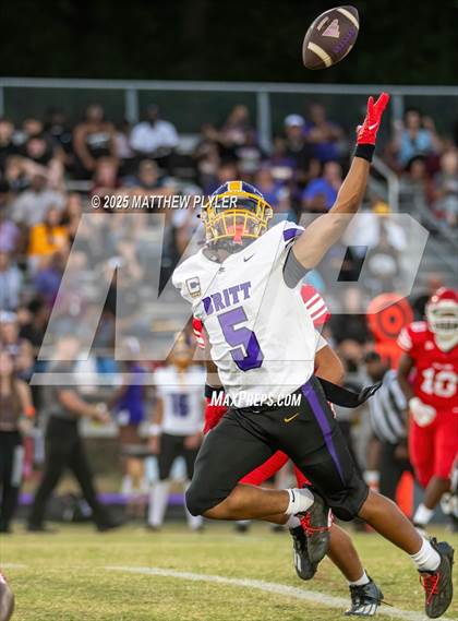 Thumbnail 3 in Jack Britt @ Seventy-First photogallery.