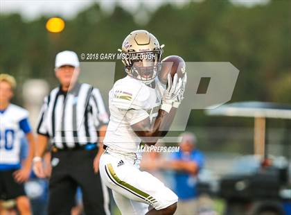 Thumbnail 2 in St. Augustine @ Bartram Trail photogallery.