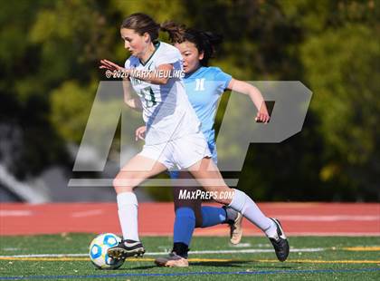 Thumbnail 2 in Palo Alto @ Hillsdale (CIF CCS D3 Quarterfinal) photogallery.
