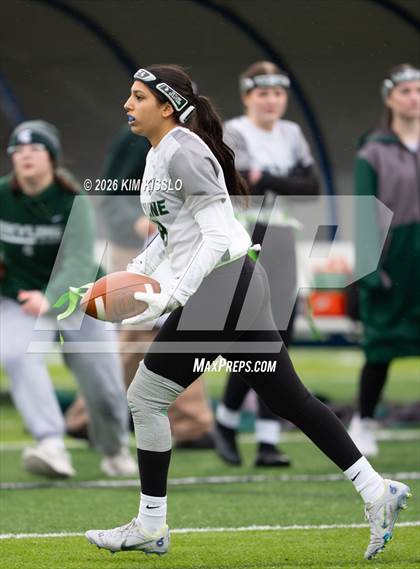 Thumbnail 2 in Skyline vs Sumner (WIAA 4A Semifinal) photogallery.