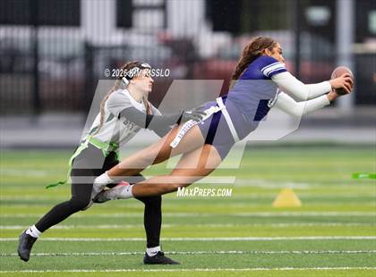 Thumbnail 1 in Skyline vs Sumner (4A Semifinal) photogallery.