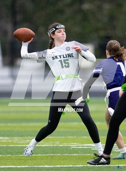 Thumbnail 1 in Skyline vs Sumner (4A Semifinal) photogallery.