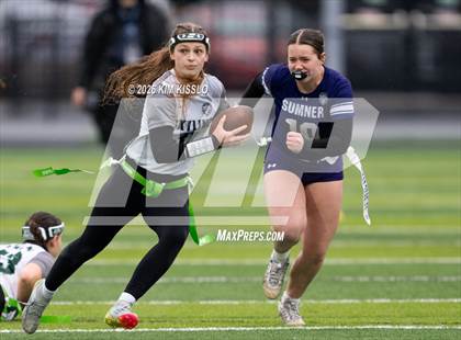 Thumbnail 1 in Skyline vs Sumner (4A Semifinal) photogallery.