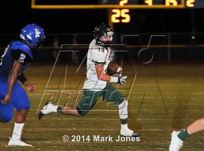 Thumbnail 2 in Basha @ Westview photogallery.