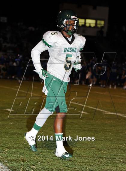 Thumbnail 1 in Basha @ Westview photogallery.