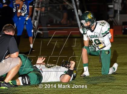 Thumbnail 3 in Basha @ Westview photogallery.