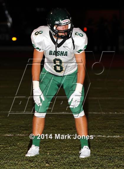 Thumbnail 3 in Basha @ Westview photogallery.