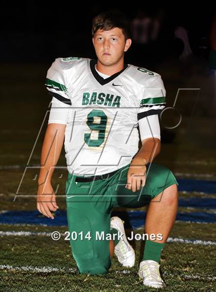 Thumbnail 3 in Basha @ Westview photogallery.