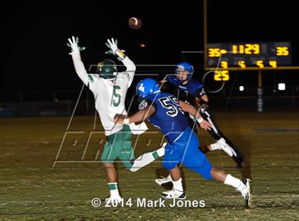 Thumbnail 2 in Basha @ Westview photogallery.