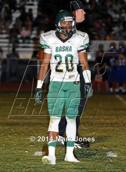 Thumbnail 3 in Basha @ Westview photogallery.