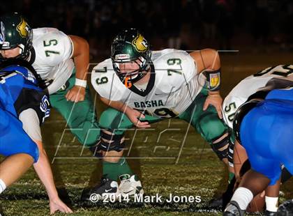 Thumbnail 3 in Basha @ Westview photogallery.