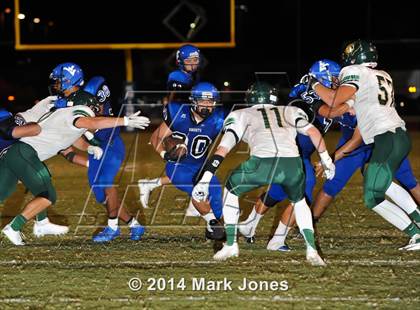 Thumbnail 2 in Basha @ Westview photogallery.