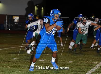 Thumbnail 3 in Basha @ Westview photogallery.