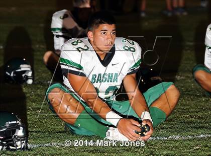 Thumbnail 3 in Basha @ Westview photogallery.