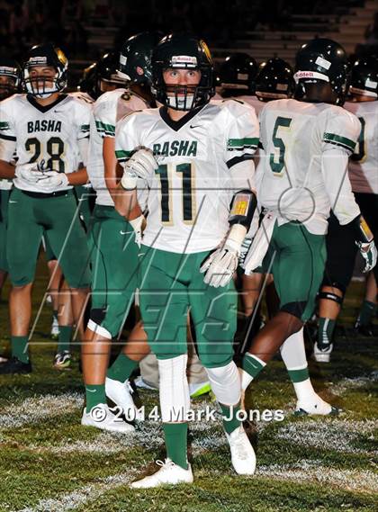 Thumbnail 2 in Basha @ Westview photogallery.