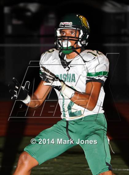 Thumbnail 1 in Basha @ Westview photogallery.