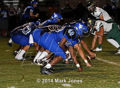 Thumbnail 1 in Basha @ Westview photogallery.