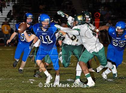 Thumbnail 3 in Basha @ Westview photogallery.