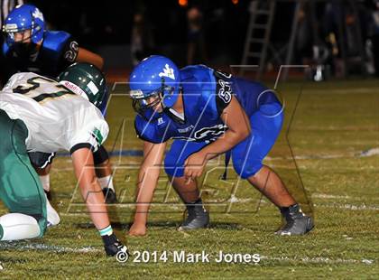 Thumbnail 2 in Basha @ Westview photogallery.