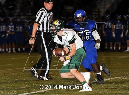 Thumbnail 3 in Basha @ Westview photogallery.