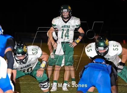 Thumbnail 3 in Basha @ Westview photogallery.