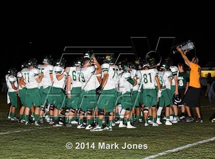 Thumbnail 3 in Basha @ Westview photogallery.