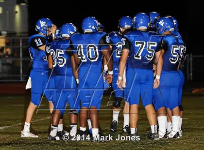 Thumbnail 2 in Basha @ Westview photogallery.