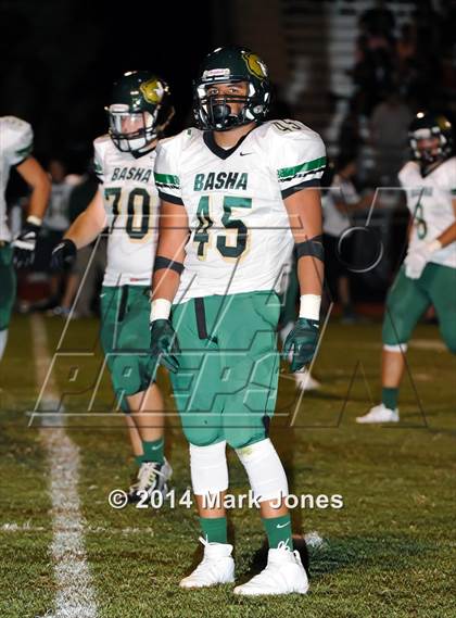 Thumbnail 3 in Basha @ Westview photogallery.