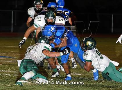Thumbnail 2 in Basha @ Westview photogallery.