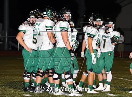Thumbnail 1 in Basha @ Westview photogallery.