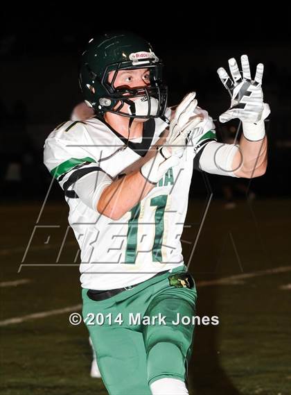 Thumbnail 2 in Basha @ Westview photogallery.