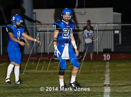 Thumbnail 1 in Basha @ Westview photogallery.